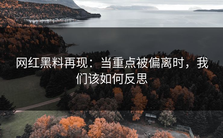 网红黑料再现：当重点被偏离时，我们该如何反思