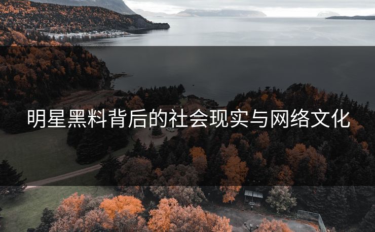 明星黑料背后的社会现实与网络文化