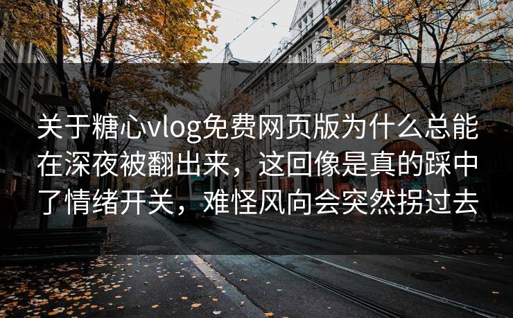 关于糖心vlog免费网页版为什么总能在深夜被翻出来，这回像是真的踩中了情绪开关，难怪风向会突然拐过去